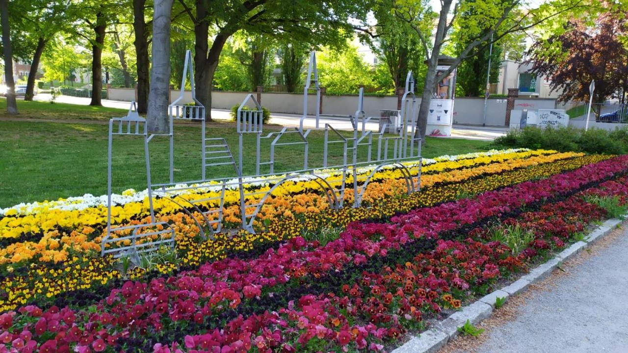 Alte Baeckerei Bautzen - 01 #Family# Im Zentrum, Mit Parkplatz, Top Ausgestattet 외부 사진