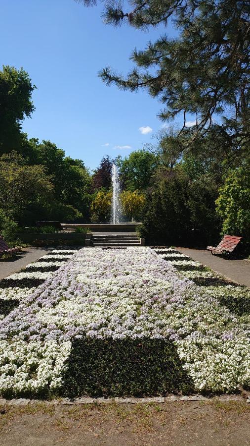 Alte Baeckerei Bautzen - 01 #Family# Im Zentrum, Mit Parkplatz, Top Ausgestattet 외부 사진